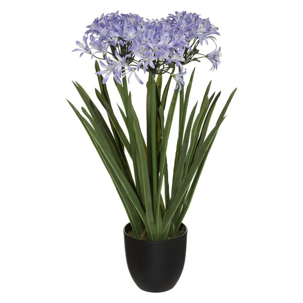 Die Saisontruhe Kunstblume Lilie im Topf Wayfair.de